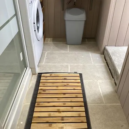 Bumblebee Vouillé-les-Marais