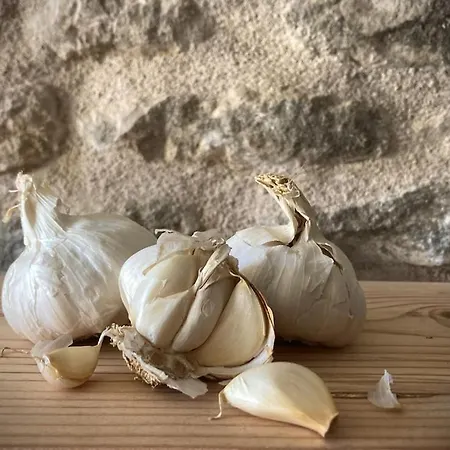 Σπίτι διακοπών Bumblebee *