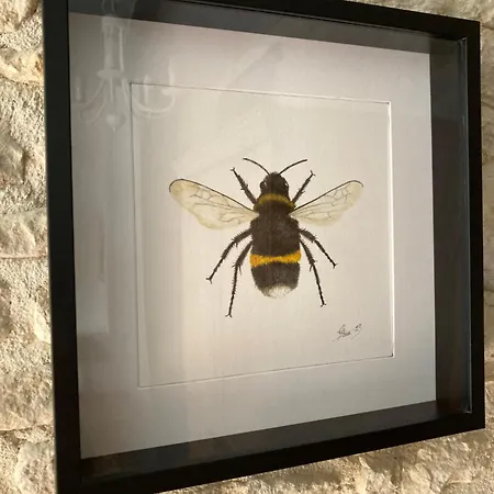 Bumblebee Σπίτι διακοπών *