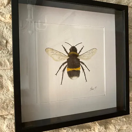 Bumblebee Holiday home *