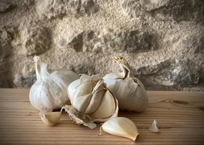 Сasa de vacaciones Bumblebee *