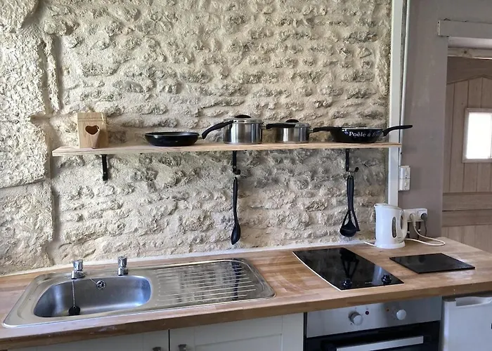 Bumblebee Vouillé-les-Marais