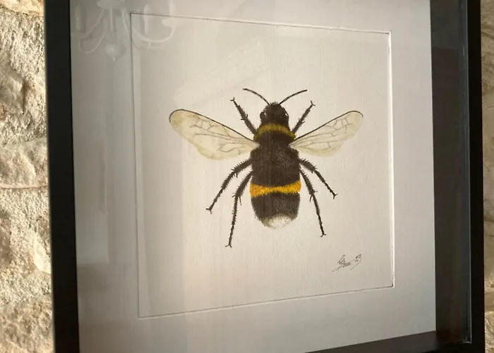 Bumblebee Сasa de vacaciones *