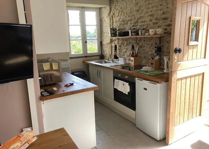 Bumblebee Vouillé-les-Marais